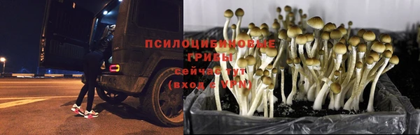 круглые Алзамай
