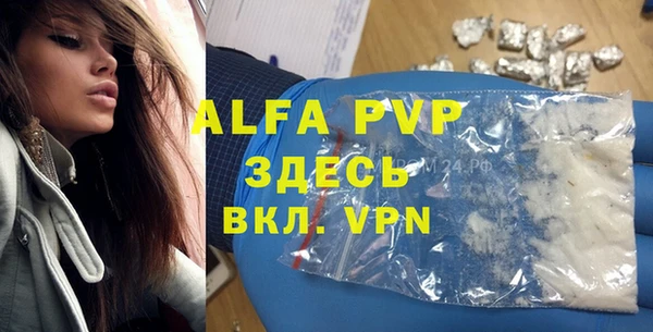 твердый Алексин