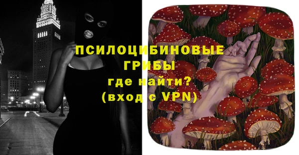 круглые Алзамай