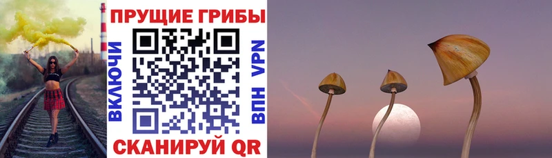 Псилоцибиновые грибы ЛСД Евпатория