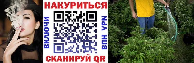 Канабис гибрид  Евпатория 